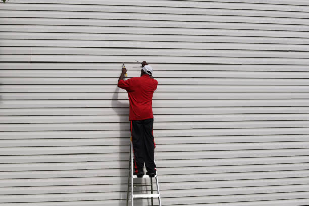Siding Removal and Disposal in Winter Gardens, CA