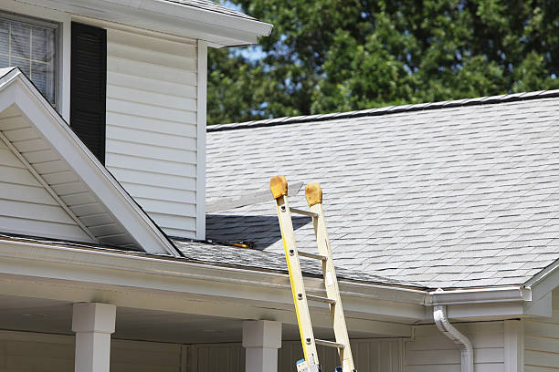 Storm Damage Siding Repair in Winter Gardens, CA