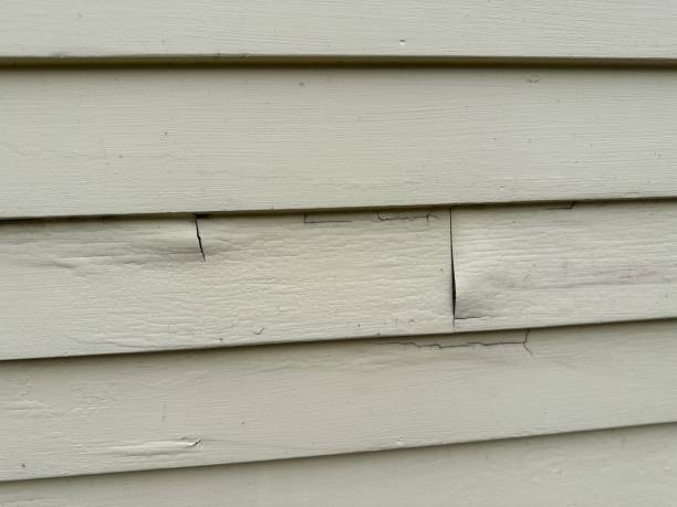 Best Siding Removal and Disposal  in Winter Gardens, CA